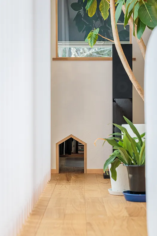 猫ちゃんとの暮らしを実現した部屋